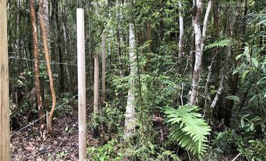 Parcela en Venta en Sector Correntoso a 200 mts de carretera