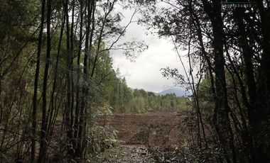 Parcela en Venta en Sector Correntoso a 200 mts de carretera