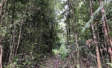 Parcela en Venta en Sector Correntoso a 200 mts de carretera