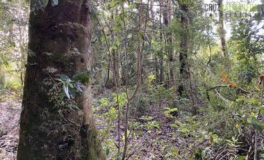 Parcela en Venta en Alto Bonito