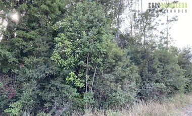 Parcela en Venta en Alto Bonito