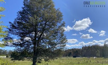 Parcela en Venta en Alto Bonito