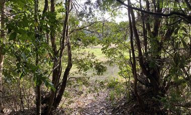 Parcela en Venta en Alto Bonito