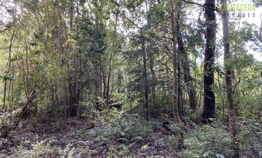 Parcela en Venta en Alto Bonito