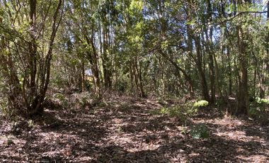 Parcela en Venta en Alto Bonito