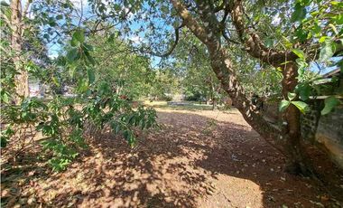 EN DOLEGUITA FINCA QUE ABARCA ESQUINA