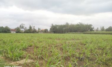 Jual Tanah di Malang Dekat Kantor Bupati Malang
