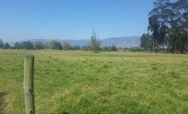 FINCA  GACHANCIPA  64 fanegadas.