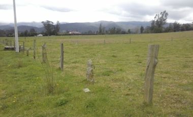 FINCA  GACHANCIPA  64 fanegadas.