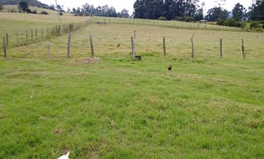 FINCA  GACHANCIPA  64 fanegadas.