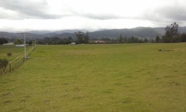 FINCA  GACHANCIPA  64 fanegadas.