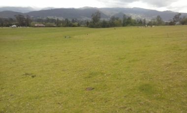 FINCA  GACHANCIPA  64 fanegadas.