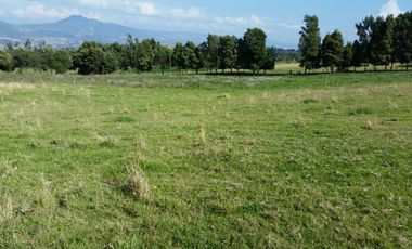 FINCA  GACHANCIPA  64 fanegadas.