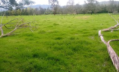 FINCA  GACHANCIPA  64 fanegadas.