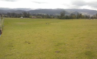 FINCA  GACHANCIPA  64 fanegadas.