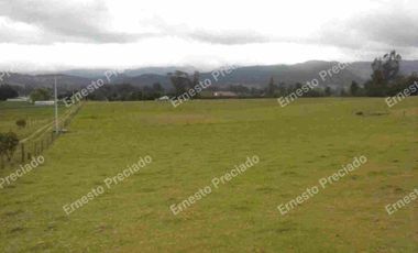 FINCA  GACHANCIPA VENTA