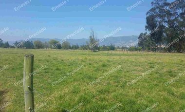 FINCA  GACHANCIPA VENTA