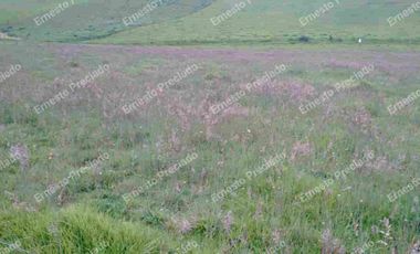 FINCA  GACHANCIPA VENTA