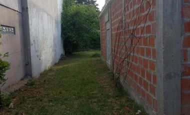 Ph a terminar en P. Nogues