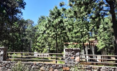 VENDO TERRENOS HUASCA DE OCAMPO HIDALGO