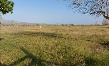 VENTA DE FINCA DE 200 HECTREAS, MONTERIA, CORDOBA