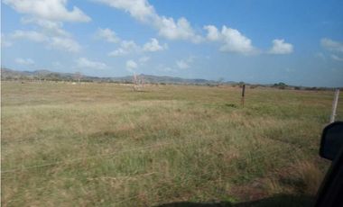 VENTA DE FINCA DE 200 HECTREAS, MONTERIA, CORDOBA