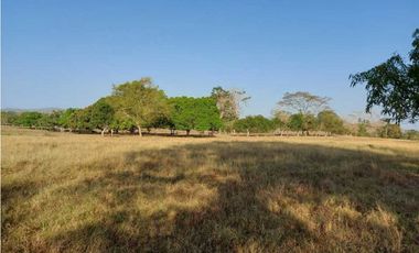 VENTA DE FINCA DE 200 HECTREAS, MONTERIA, CORDOBA