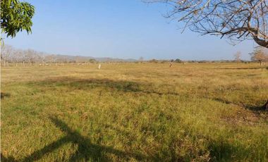 VENTA DE FINCA DE 200 HECTREAS, MONTERIA, CORDOBA