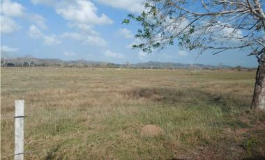 VENTA DE FINCA DE 200 HECTREAS, MONTERIA, CORDOBA