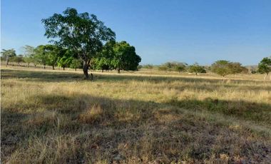 VENTA DE FINCA DE 200 HECTREAS, MONTERIA, CORDOBA