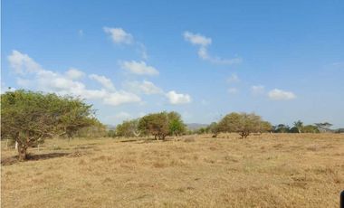 VENTA DE FINCA DE 200 HECTREAS, MONTERIA, CORDOBA