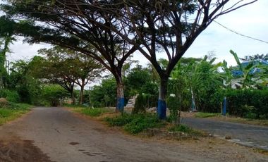 DIJUAL TANAH KOTA BARU DRIYOREJO GRESIK