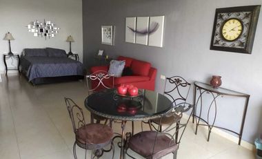 Departamento en renta en Xalapa zona Araucarias