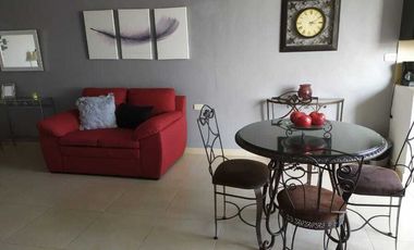 Departamento en renta en Xalapa zona Araucarias