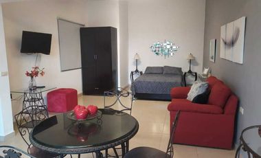 Departamento en renta en Xalapa zona Araucarias