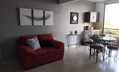 Departamento en renta en Xalapa zona Araucarias
