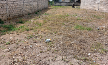 TERRENO EN RENTA COL. NAVARREÑO XALISCO,NAY.(F)