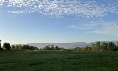 Terreno Construccion  en Venta en ULTIMAS UNIDADES Parcelación Agricola Los Cipreses 5. 000 m2, Paillaco, Futrono, Valdivia