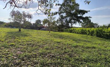 lote en venta en potrerillo. Cod V16637