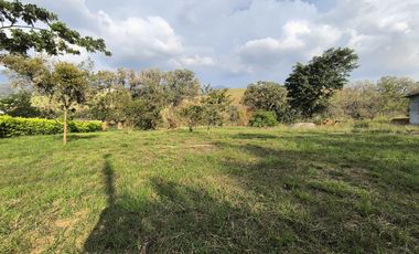 lote en venta en potrerillo. Cod V16637