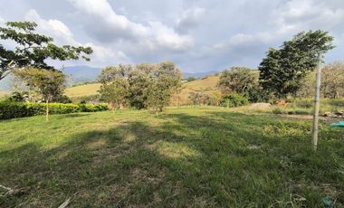 lote en venta en potrerillo. Cod V16637