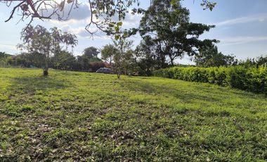 lote en venta en potrerillo. Cod V16637