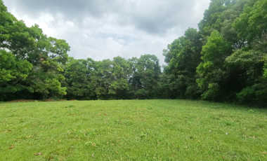 lote en venta en potrerillo. Cod V16637