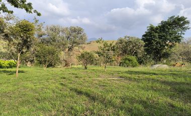 lote en venta en potrerillo. Cod V16637