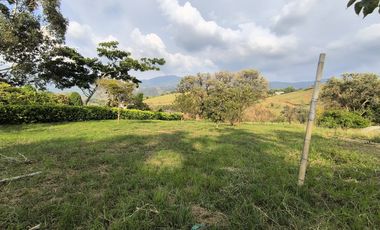 lote en venta en potrerillo. Cod V16637