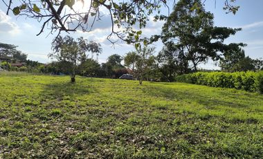 lote en venta en potrerillo. Cod V16637