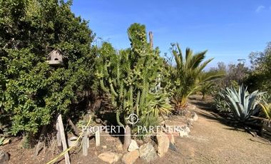 Algarrobo. Camino del Medio. Gran Casa