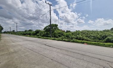 Tanah Kav Gudang Di Kawasan Pergudangan Parangloe Indah  Makassar