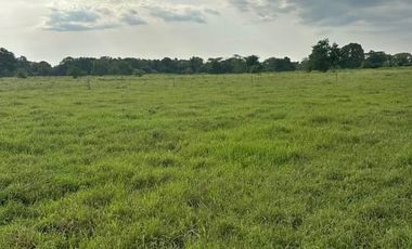 finca en venta en mahates. Cod V93667