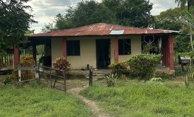finca en venta en mahates. Cod V93667